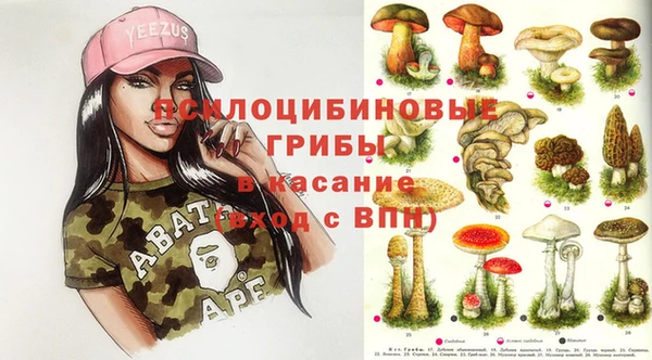 гидропоника Аркадак